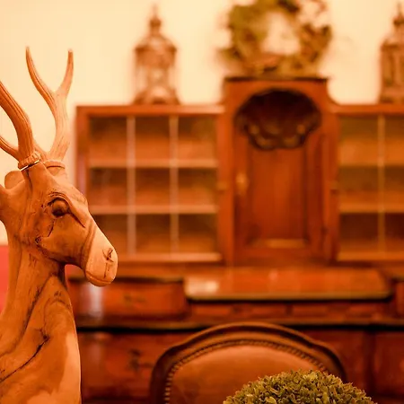 Hotel Schlosshotel Gruenwald